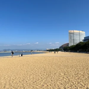 맑은 날 가 본 후쿠오카 타워 앞 해변, 모모치 해변공원