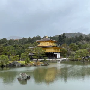 교토 금각사, 흐린 가을에 다시 찾은 연못에 비치는 금빛 누각