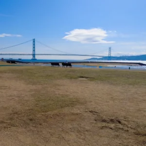 고베에 있는 거대한 현수교, 아카시 대교가 보이는 해수욕장 ‘오쿠라해안 해수욕장’