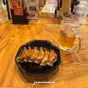 일본에서 교자로 유명한 곳, 우쓰노미야에서 교자와 생맥주!