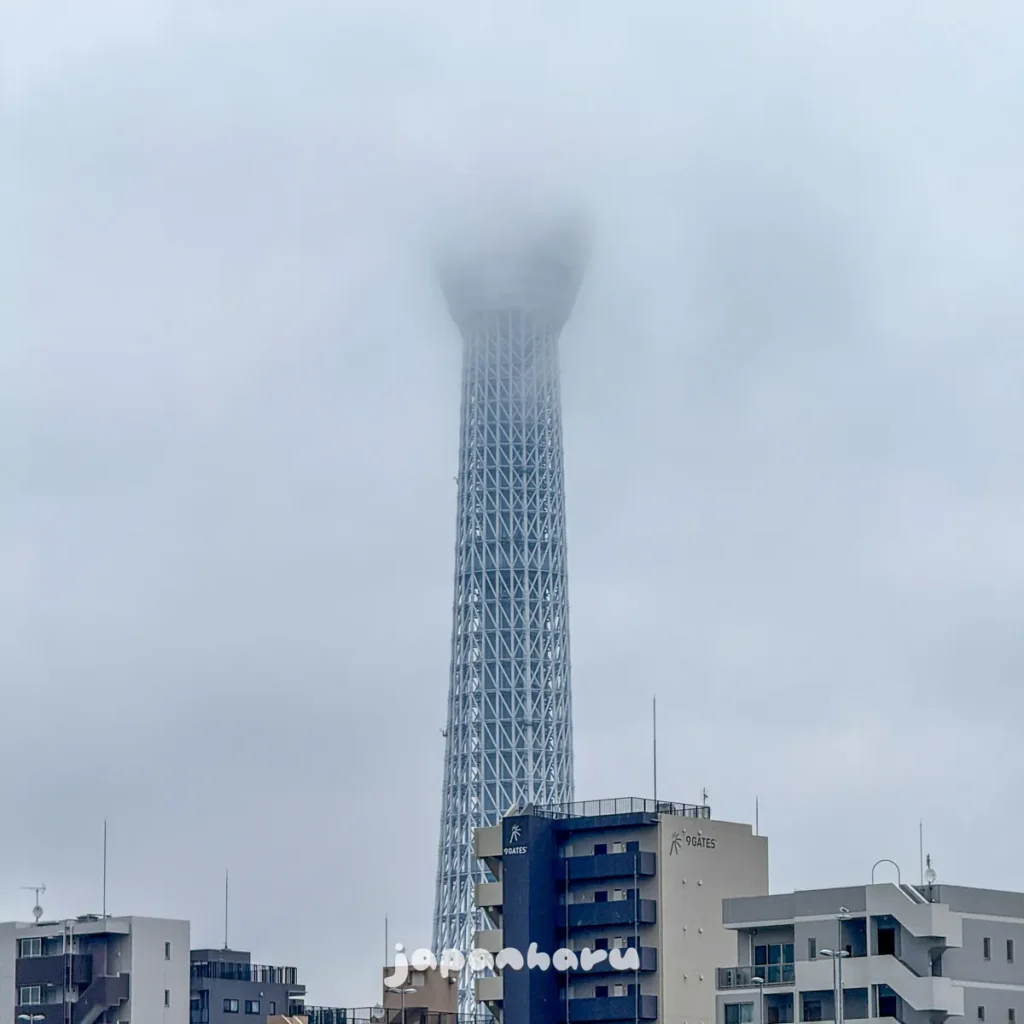 구름에 가려진 스카이트리를 보며 도쿄 아사쿠사 거리산책