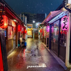 하코다테의 이자카야 골목, 다이몬요코초에서 먹은 꼬치와 생맥주!