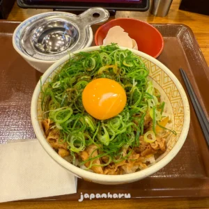 삿포로 스키야에서 규동으로 아침식사!