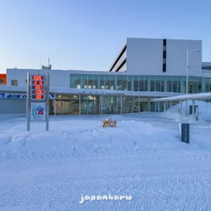 한겨울에 다시 찾은 일본 최북단역, 왓카나이역
