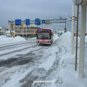 소야곶 왕복티켓 구입, 일본 최북단으로 버스를 타고!
