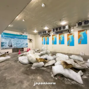 무료인 만큼 아쉽긴 한 유빙관, 왓카나이 소야곶 유빙관