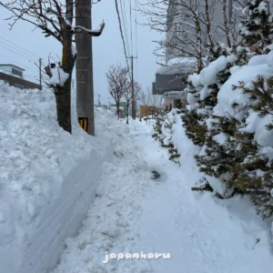 일본 최북단 왓카나이의 눈밭을 걸어서 산책하기