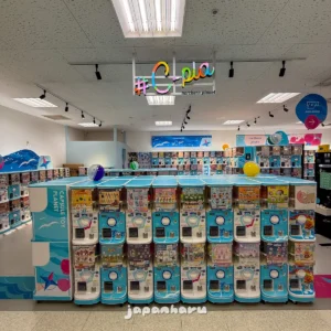 왓카나이에 있는 일본 최북단 가챠샵, 왓카나이 사이조 C-pla