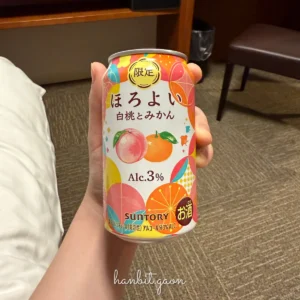 정말 다양한 종류, 또 다른 호로요이! 호로요이 백도와 귤 맛