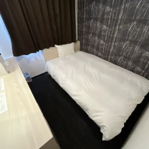 미야자키에 있는 대욕장이 있는 호텔, 미야자키 다이이치 호텔