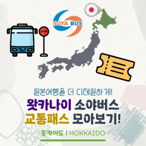일본 최북단 왓카나이의 교통패스 알아보기! 1일권과 소야곶 왕복티켓, 어떤 걸로 할까?