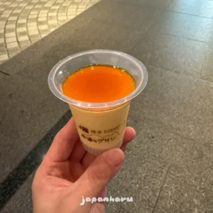 후쿠오카에서 본 푸딩 전문점! 니시도리 푸딩