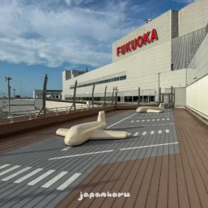 후쿠오카 여행 마지막 날, 국내선 터미널 전망대에서 비행기 구경!