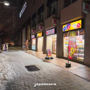 하코다테역 앞 드럭스토어, 다이코쿠 드럭